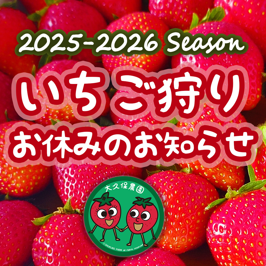 いちご狩りお休みのお知らせ